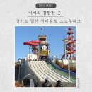 아미파크 | 겨울 아이랑 갈만한 실내 눈썰매장 원마운트 스노우파크 후기