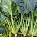 이원농장 이미지