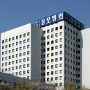 여의도성모약국 Daum카페