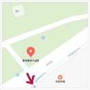 서귀교 | 제주 일출명소 서귀포 외돌개 동너븐덕 산책 코스