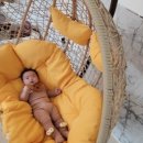 오복지펜션 이미지