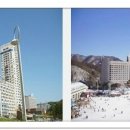 휘닉스PC방 이미지