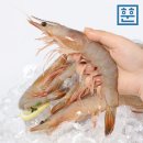 장항경로식당 | "예매창 열리자마자 손가락이 바빠졌습니다"… 서해금빛열차 온돌마루 도전기