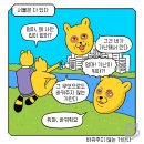 고돌이네 이미지