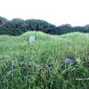 녹산 Daum카페
