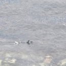 원앤우마르 이미지