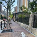 견생냥품 무인24시 대구 월성동점 이미지