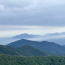 앵강만식당 이미지