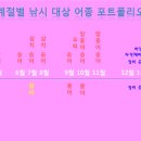 감성돔필름
