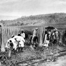 희망돈 농장 이미지