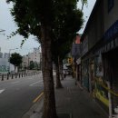 보문모터스 네이버블로그
