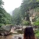 가온이네 이미지