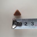 (주)웰니스피트 이미지