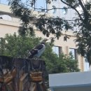 별빛약국 | 홍콩 여행 후기 2일차-2