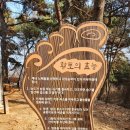 황토발짚신 이미지