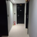 모텔라이 이미지