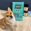 펫스미스 이미지