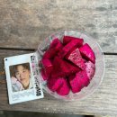 기찬힐링센타 | 혼자 대만 여행(with EXO 타이페이콘서트)