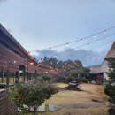 탁구(야간) | ​[제주 숙소] 지인 찬스로 다녀온 ‘한라경찰수련원’ 5인실 리얼 투숙 후기