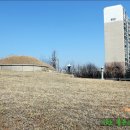 최혼 선생 묘 이미지