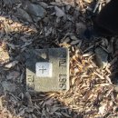 노곡1리마을회관 이미지