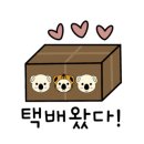 자연경옥