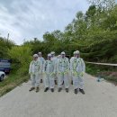 성일축사 이미지