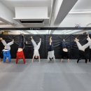 티앤티태권도장 이미지