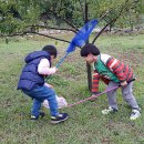 로뎀나무아래 이미지