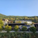 무릉도원면-44 이미지