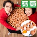 알찬유정란농장 이미지