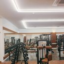 피트니아 네이버블로그