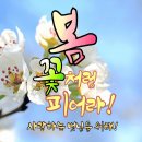 손녀의 수수 께끼 이미지
