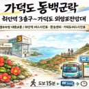 가덕도 동백군락지 이미지