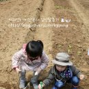 용구농장 이미지