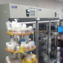 (주)에스지엠 이미지