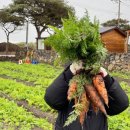 소풍농장 이미지