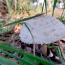 김정문화로 이미지