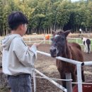 전일목장 이미지