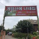 계양산에너네집 | 인천 여행 : 계양구 <계양산에 너네집> 백숙파티 후기 :b 20.05.02