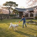 나비팜스 | "사각싱크볼"이 부른 나비효과 ! 5도2촌의 주말주택, 소형전원주택도 오픈키친...인테리어 변화