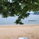 사촌해수욕장야영장 이미지