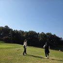 오창에딘버러 CC(대중제) | 중년 초보골퍼의 두근두근 오창에딘버러cc 라운딩