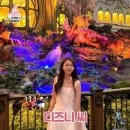 문화가 있는 날 <더해프닝쇼_마이 드림> | 도쿄 디즈니씨 총정리 (가는 법 DPA, 추천 어트랙션, 퍼레이드, 맵핑쇼 명당 등)