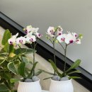 거목가든 이미지