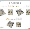 캐피토리움 이미지