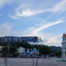 태양메리야스