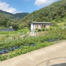 무주읍231 이미지