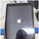 보드피플