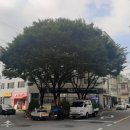 당감2동-1 이미지